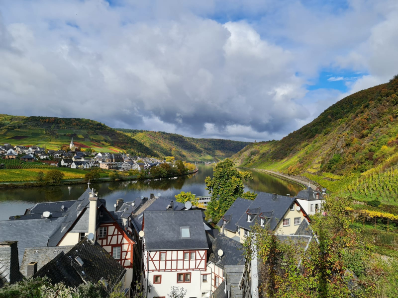 Mosel_n