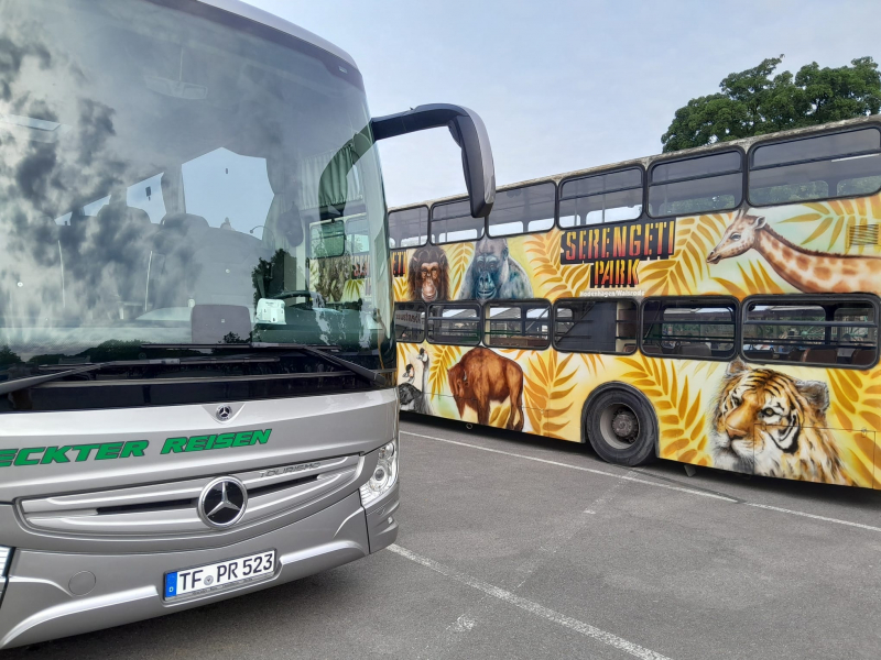 safari_reckter_n